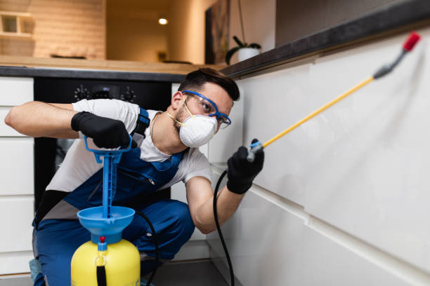 Best Mosquito Control Services  in Queen Creek, AZ