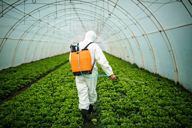 Best Pest Control Treatment  in Queen Creek, AZ