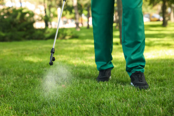 Pest Prevention Services in Queen Creek, AZ