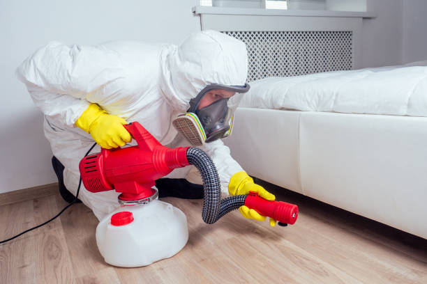 Professional Pest Control in Queen Creek, AZ