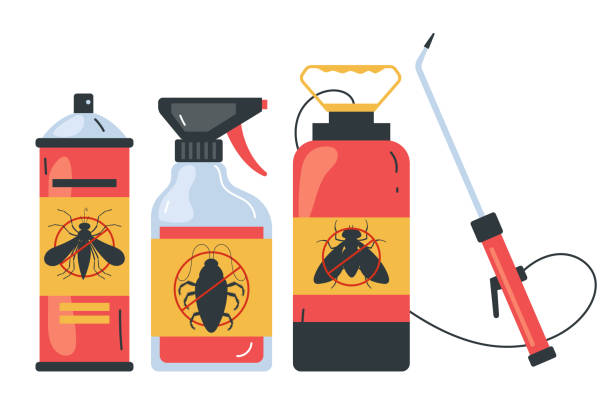 Best Best Pest Control Companies  in Queen Creek, AZ